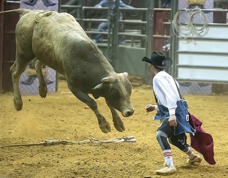 cowboy, bull, rodeo-5002949.jpg